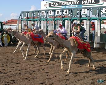 Extreme Race Day at Canterbury Park